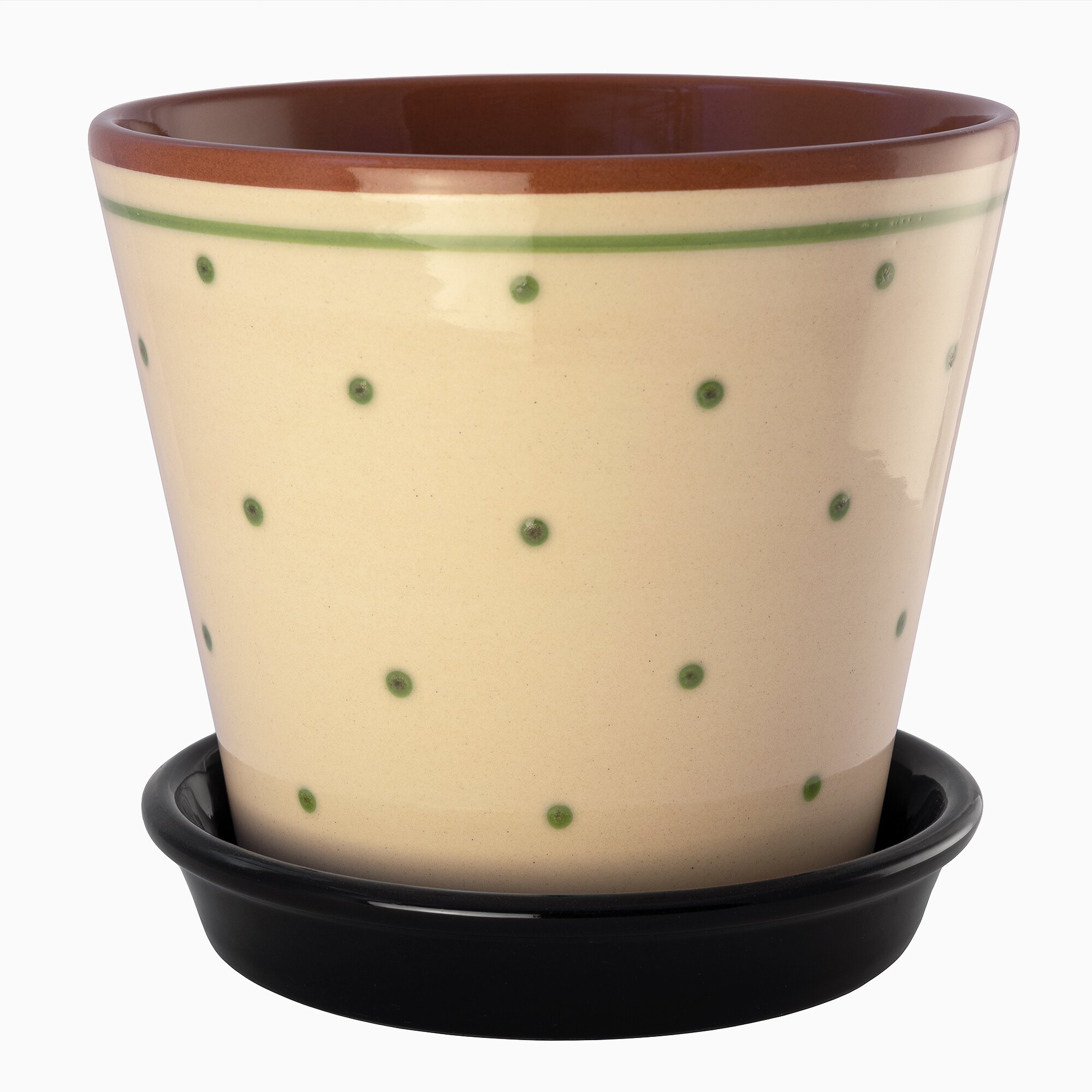 Product Image for Blomkruka prickig