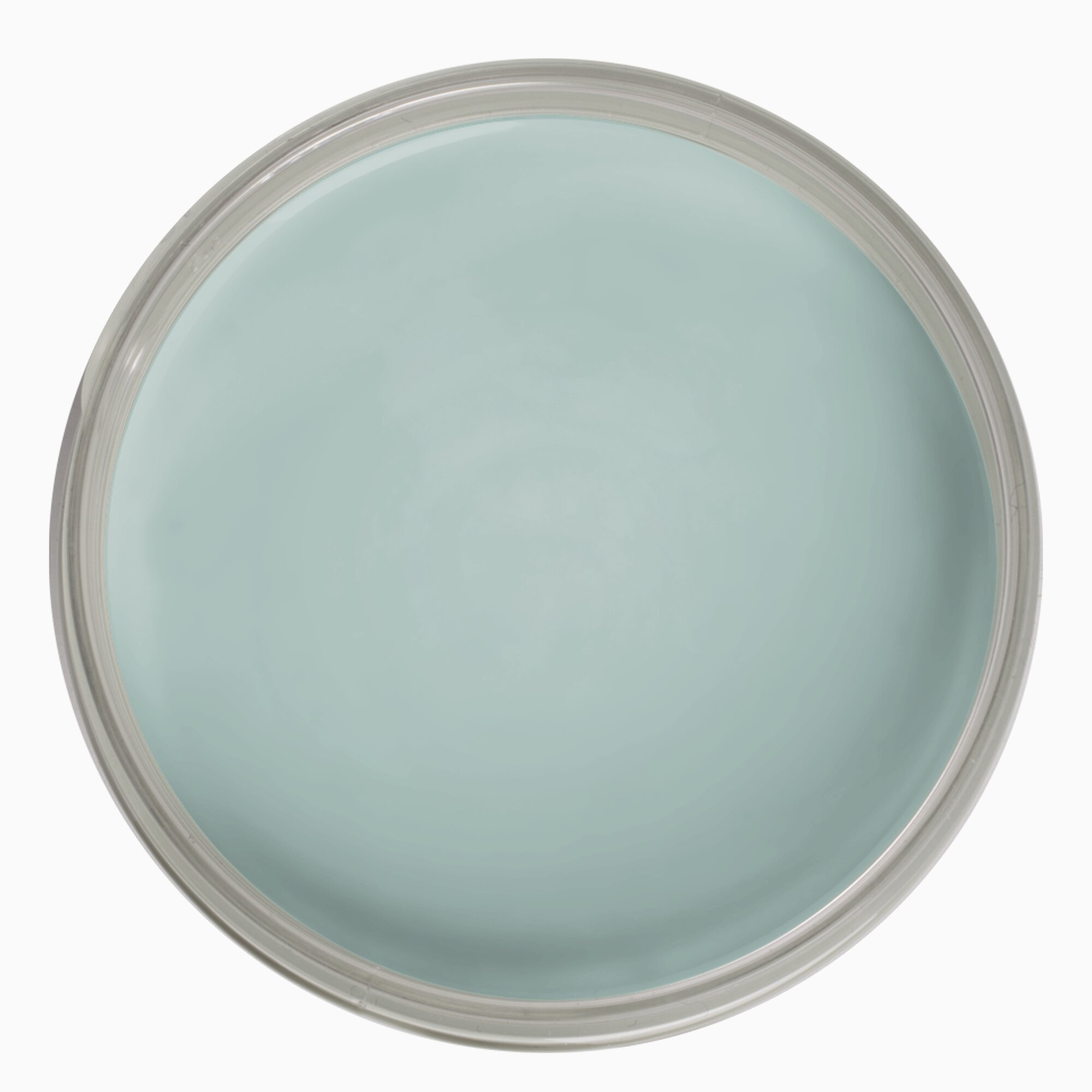 Product Image for Väggfärg Auro Blågran 5 liter