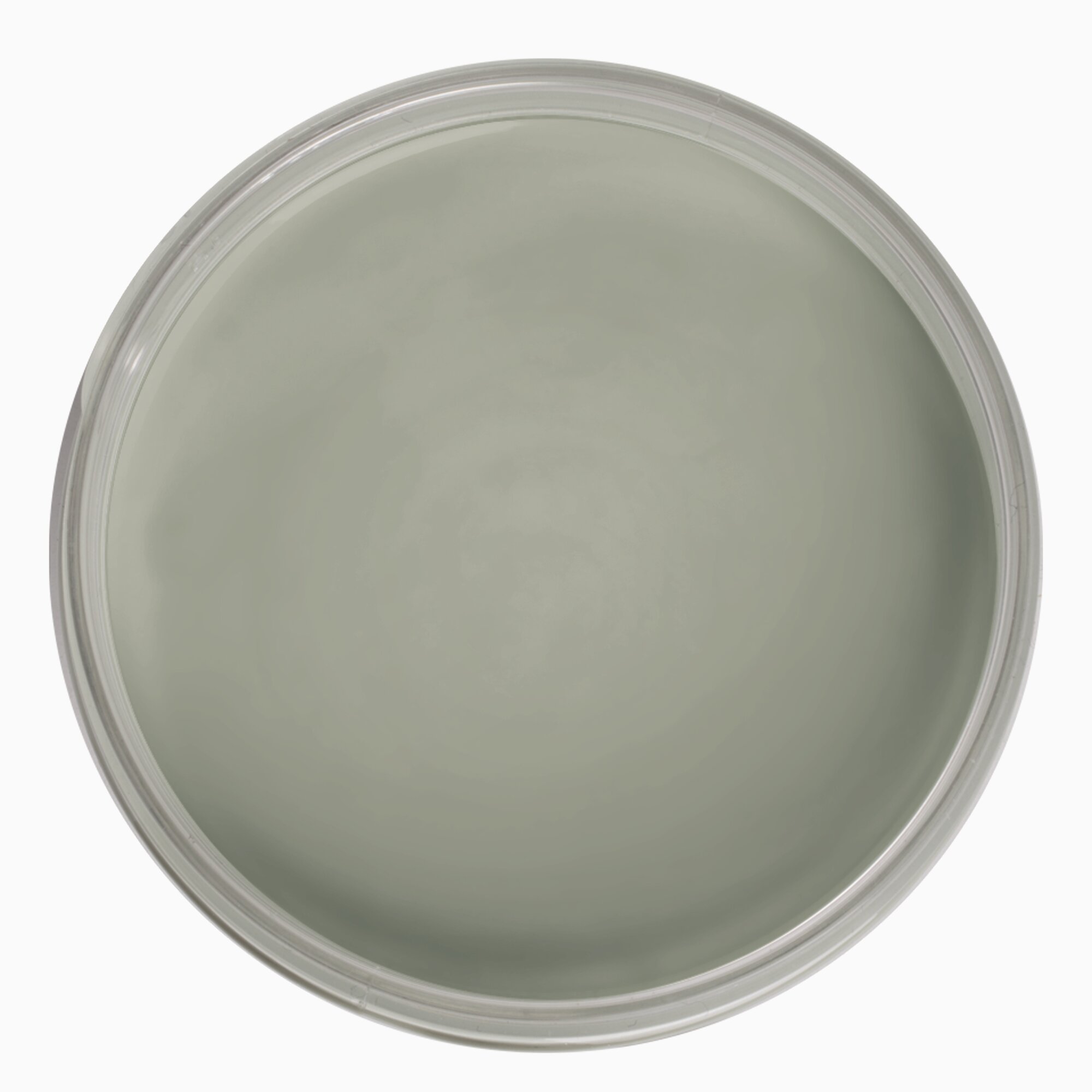 Product Image for Väggfärg Auro Sandskogsgrön 5 liter