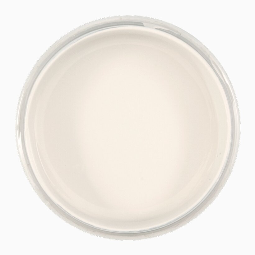 Product Image for Väggfärg Ljus Patricia provburk