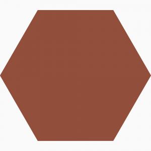 Klinker-Victorian-Floor-Tiles-hexagon-15-cm-Red-320-180-FP-33e3.jpg