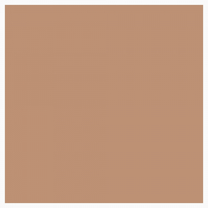 Klinker-Victorian-Floor-Tiles-kvadrat-15x15-cm-Buff-320-210-FP-e7c7.jpg